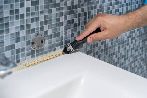 Best Fast Mold Removal  in Bryan, TX